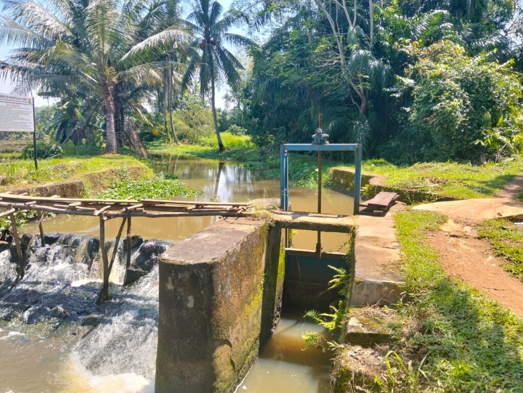 whatsapp image 2025 08 28 at 13.30.29 (1)