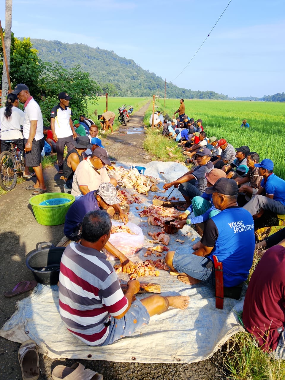 WhatsApp Image 2026 02 09 At 09.40.48