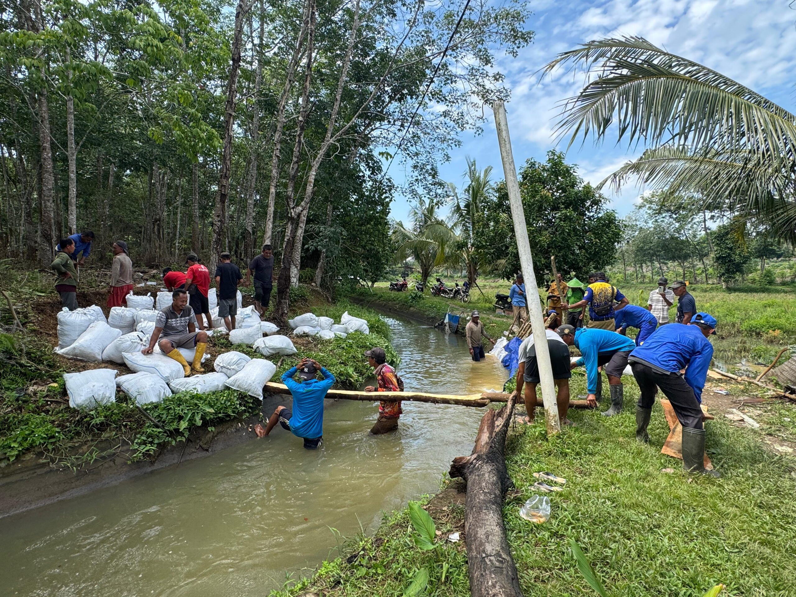 WhatsApp Image 2026 02 09 At 09.40.52 Scaled