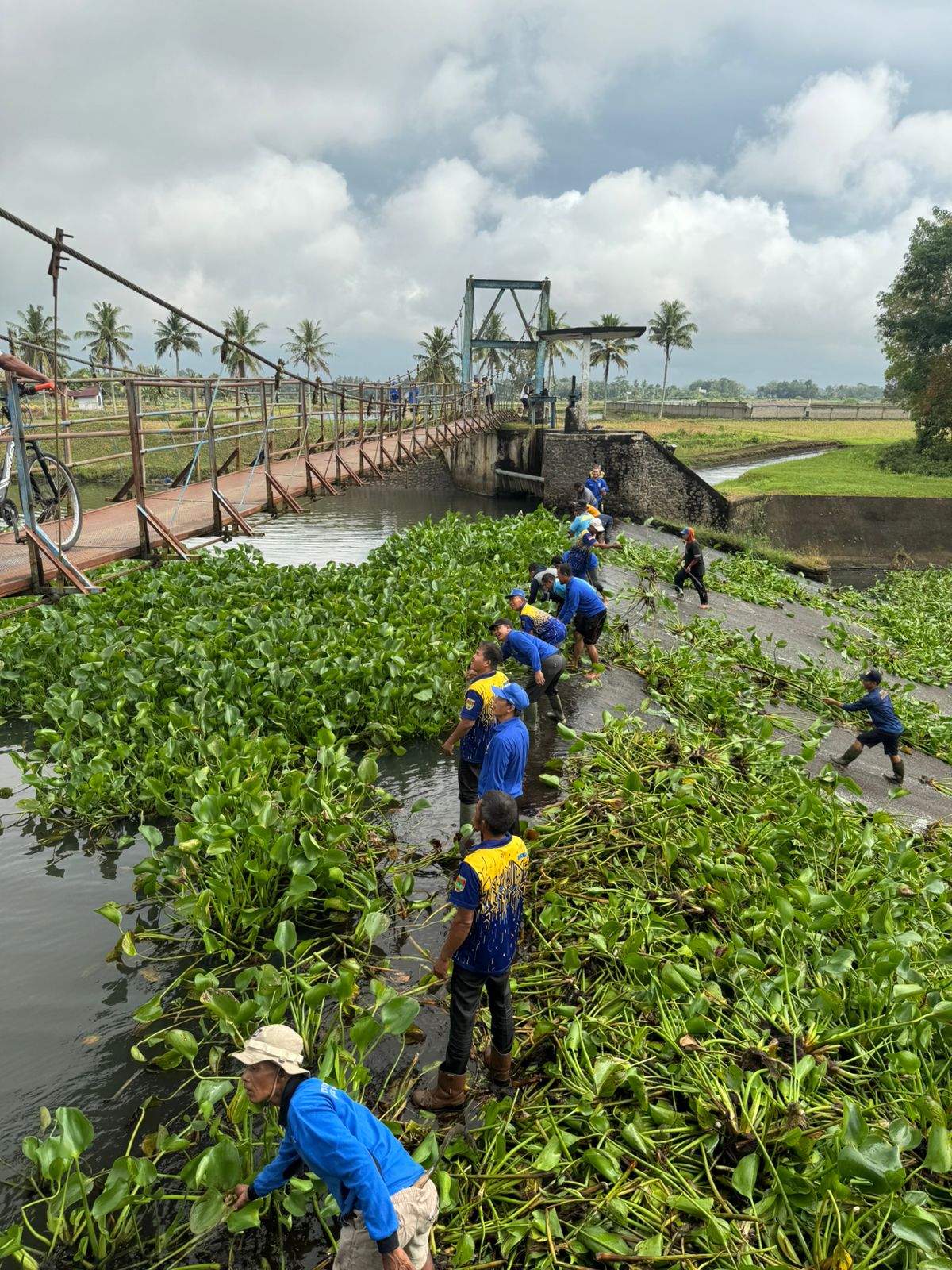 WhatsApp Image 2026 02 09 At 09.41.02 2