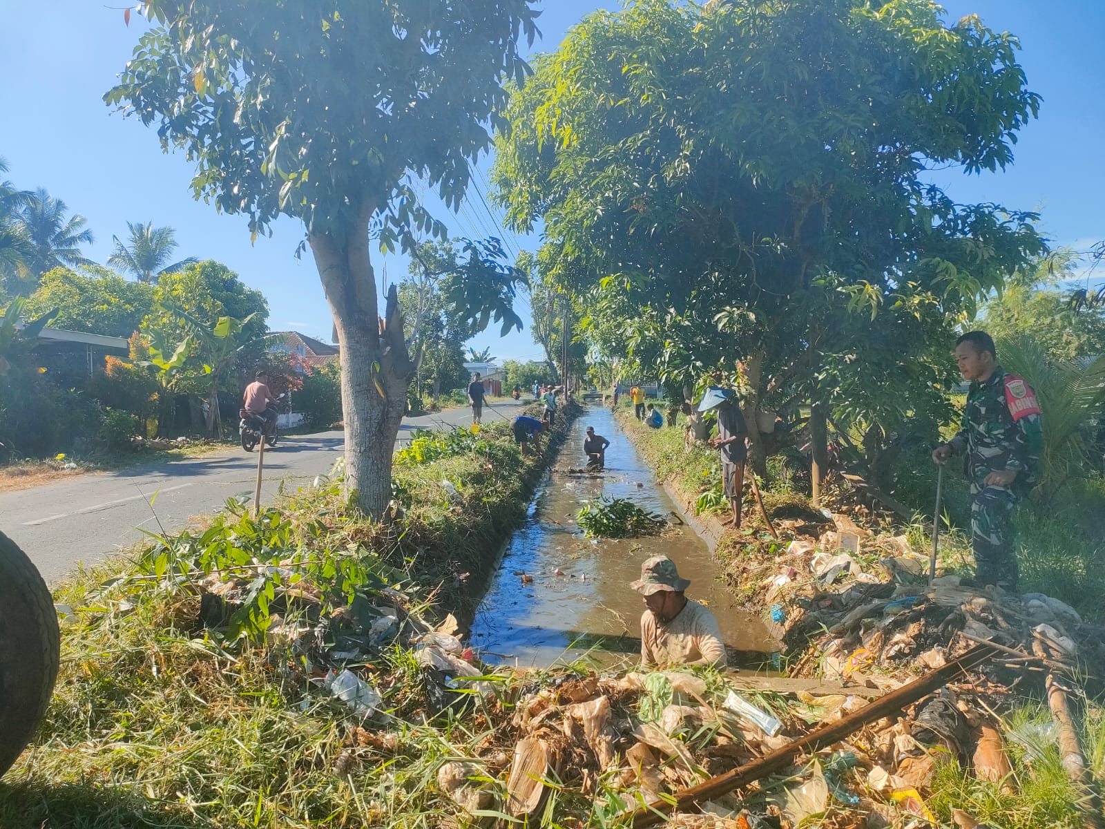 WhatsApp Image 2026 02 09 At 09.41.12