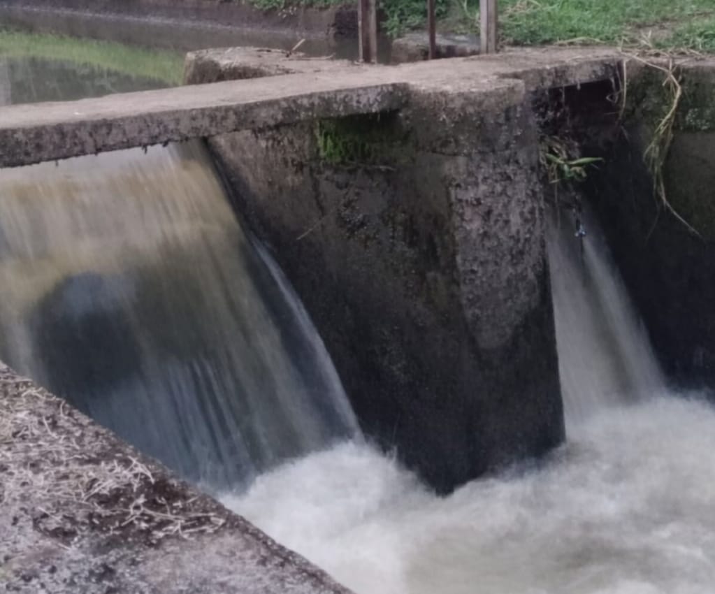 whatsapp image 2026 02 16 at 20.29.25